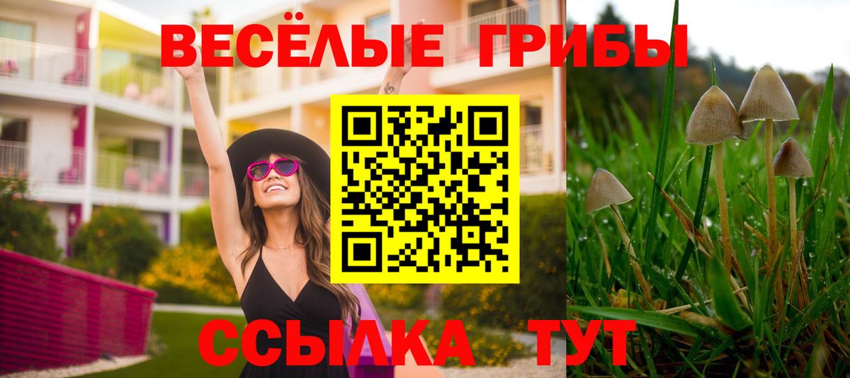 Галлюциногенные грибы Psilocybe Каменск-Уральский